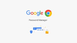 How to view all saved passwords in Google Chrome - password manager logo