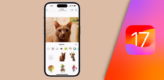 Create custom stickers in iOS header image with phone and cat in gallery